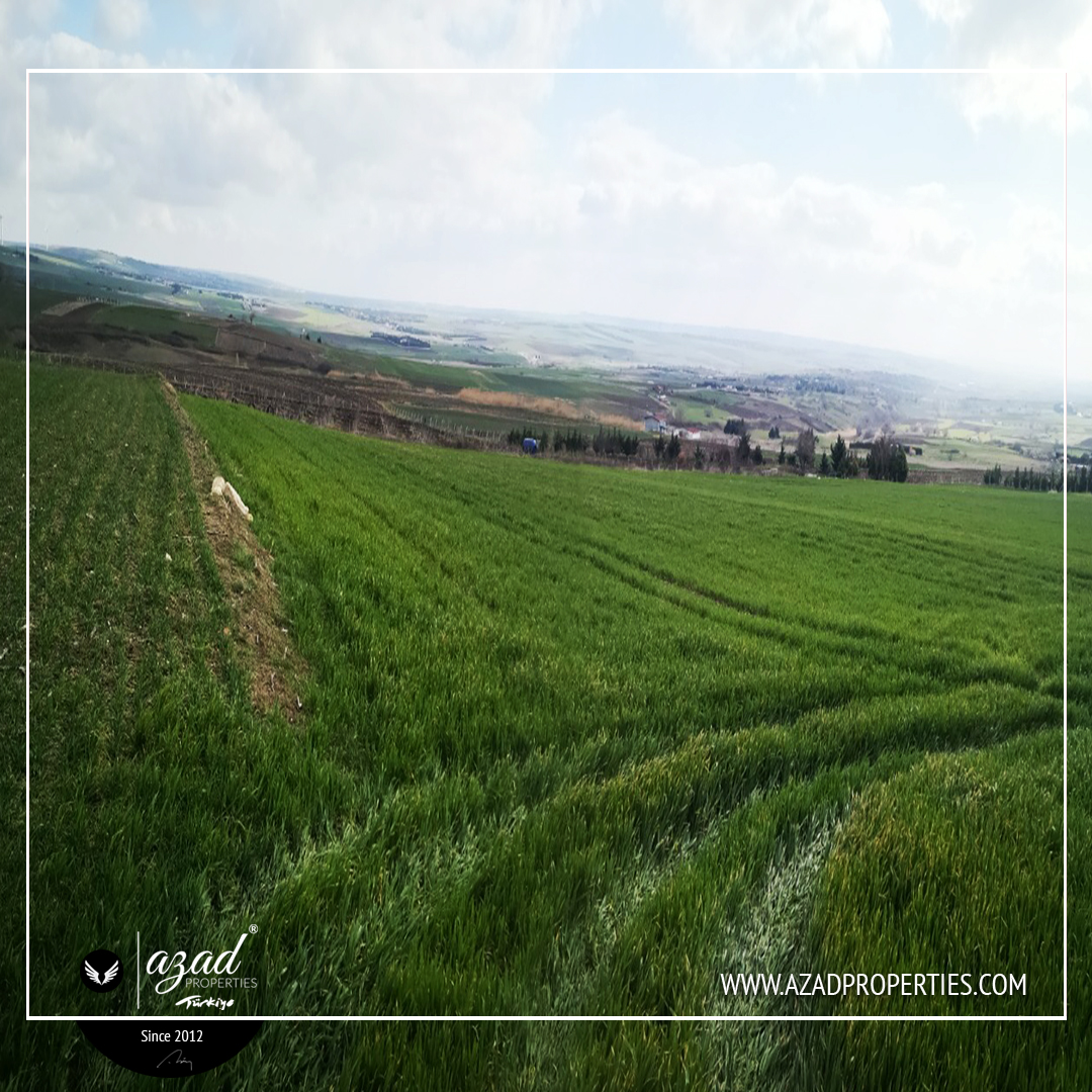 Farm Land for investment in Fenerkoy - APL 34201