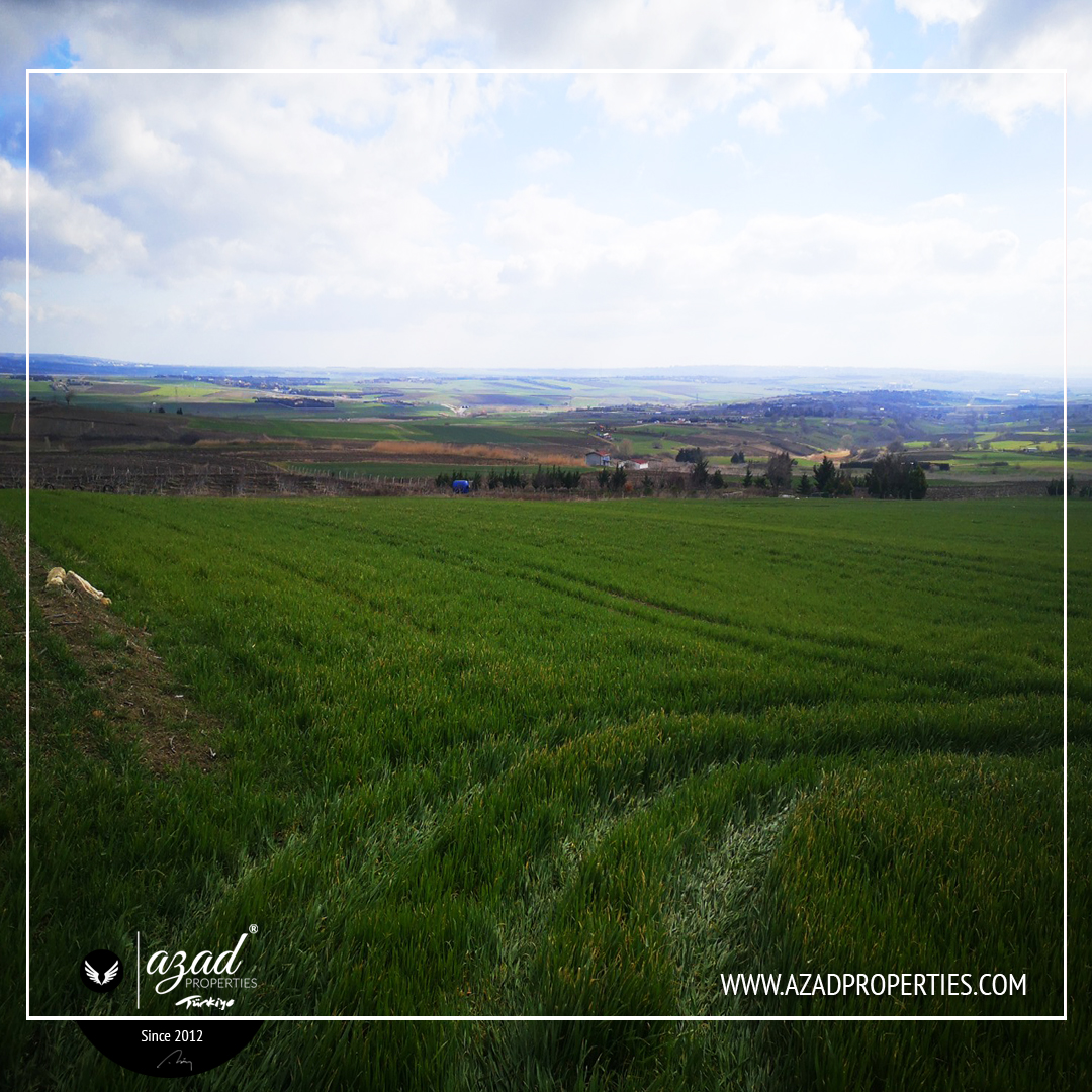 Farm Land for investment in Fenerkoy - APL 34201